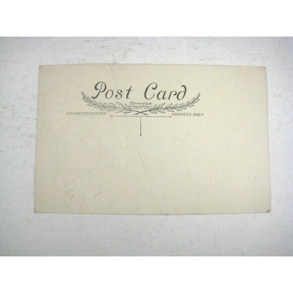 Thanksgiving Whitney Postcard Print Divided Back USA Embossed Turkey Crease - Picture 5 of 5